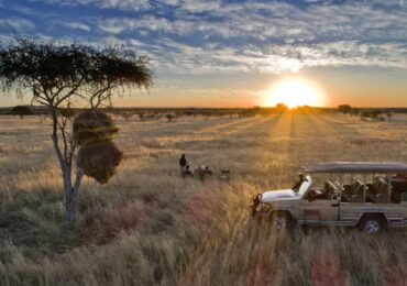 The Best Times for Self-Drive Safaris in Uganda