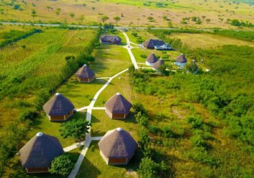 Budget Accommodation Options for Self-Drive Safaris in Uganda