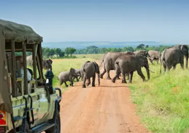 Embracing Local Communities on Self-Drive Tours in Uganda